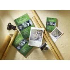 Hahnemühle Inkjet-Papier Bamboo FineArt, A4, 290 G/m², Matt, Einseitig Bedruckbar, 25 Blatt -PapierMeister Verkäufe 48d681678dfabcd3b680dcdaa58e1a4aa9e9f334 inkjet papier hahnemuehle bamboo fineart a4