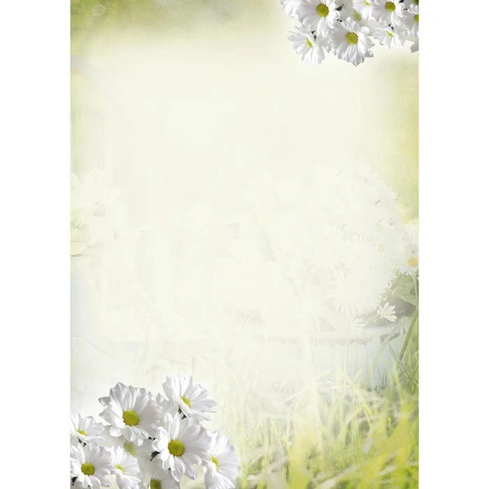 Motivpapier Margeriten, A4, 90 G/qm, 50 Blatt 3 Motivpapier Margeriten, A4, 90 G/qm, 50 Blatt